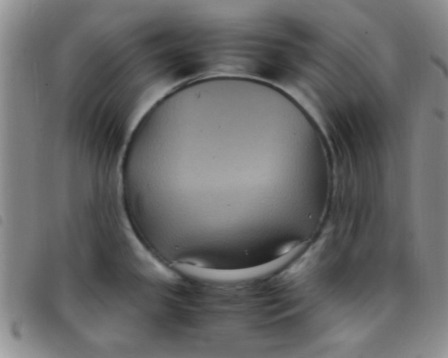 X0000097501341200803142011