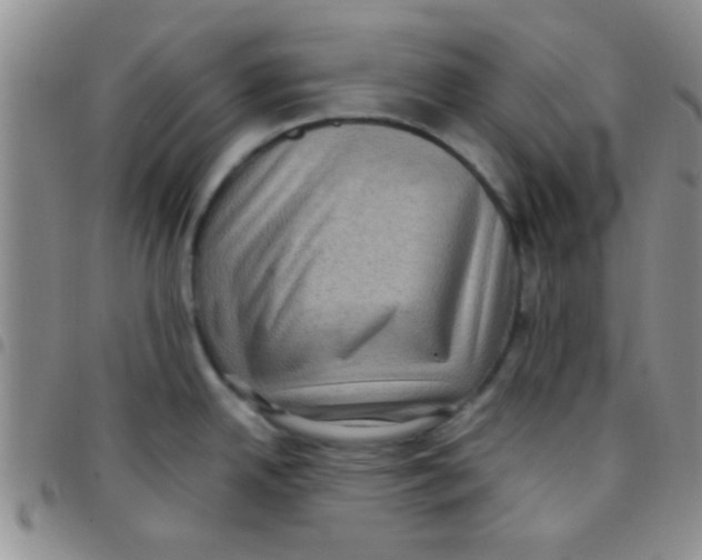 X0000097501342200803142011