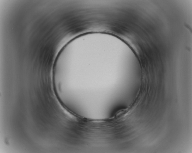 X0000097501343200803142011