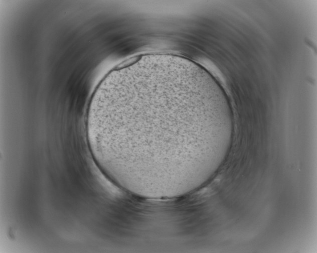 X0000097501344200803142011