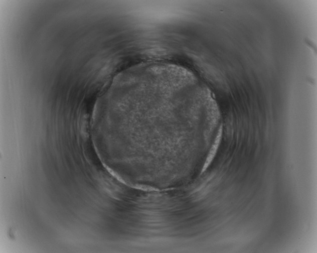 X0000097501346200803142010