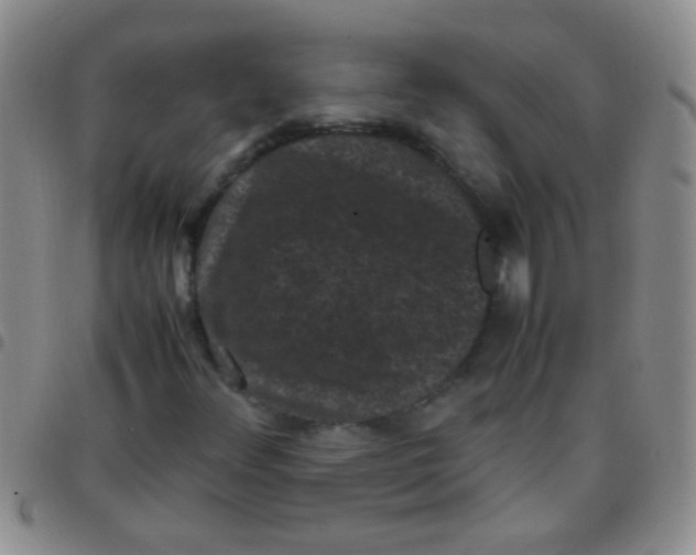 X0000097501348200803142010