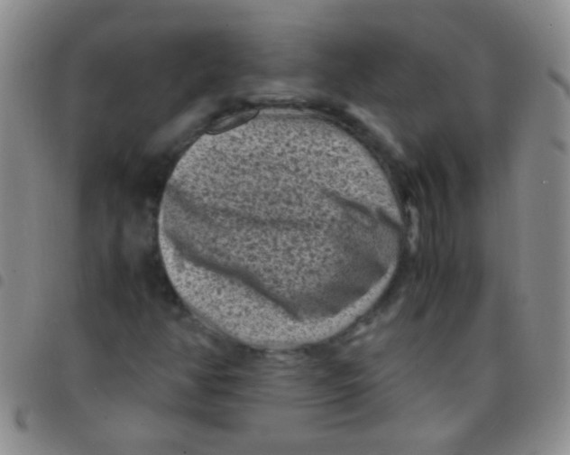 X0000097501350200803142010