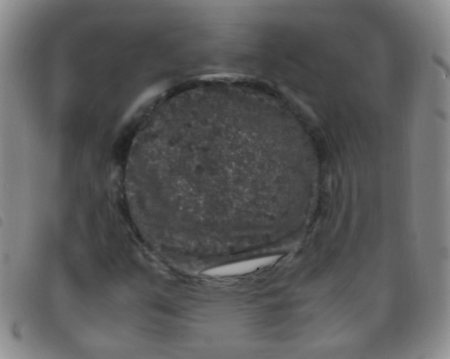 X0000097501351200803142010