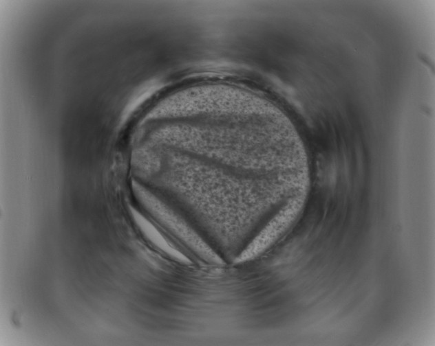 X0000097501352200803142010