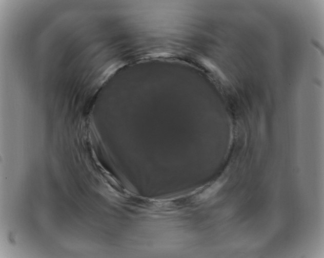 X0000097501353200803142010