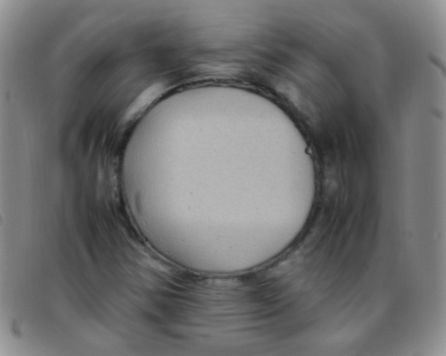 X0000097501354200803142010