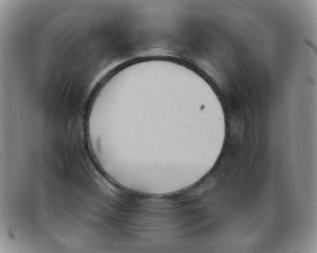 X0000097501356200803142010