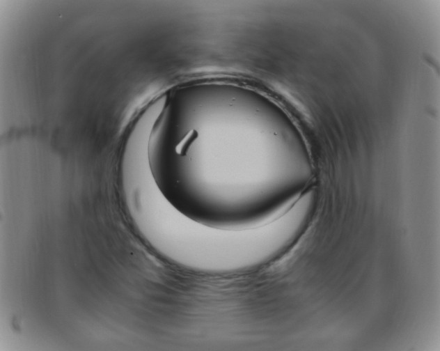 X0000097501357200803142010