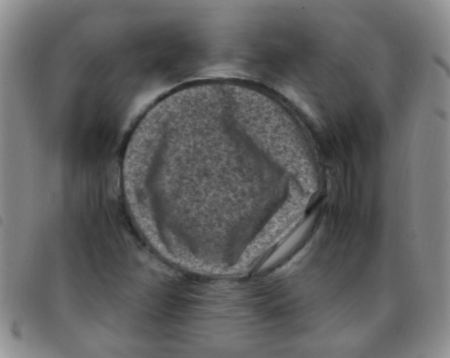 X0000097501358200803142010