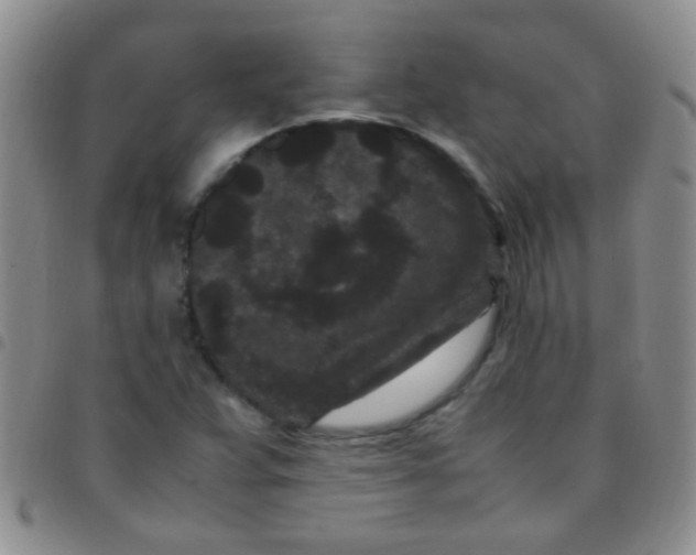 X0000097501359200803142010