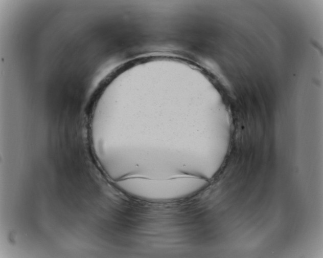 X0000097501360200803142010