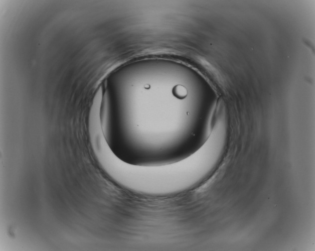 X0000097501361200803142010