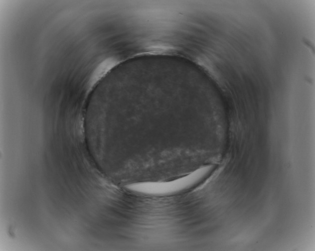 X0000097501362200803142010