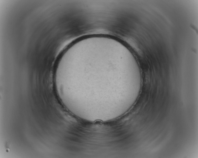 X0000097501364200803142010