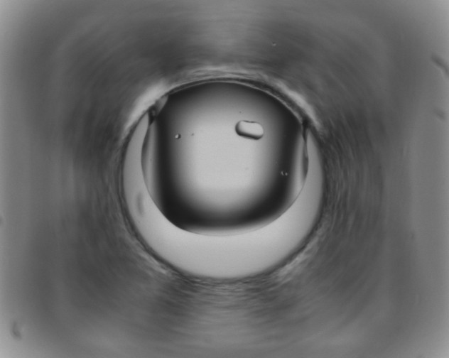 X0000097501365200803142010