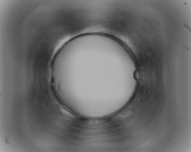 X0000097501366200803142010