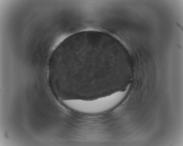 X0000097501367200803142010