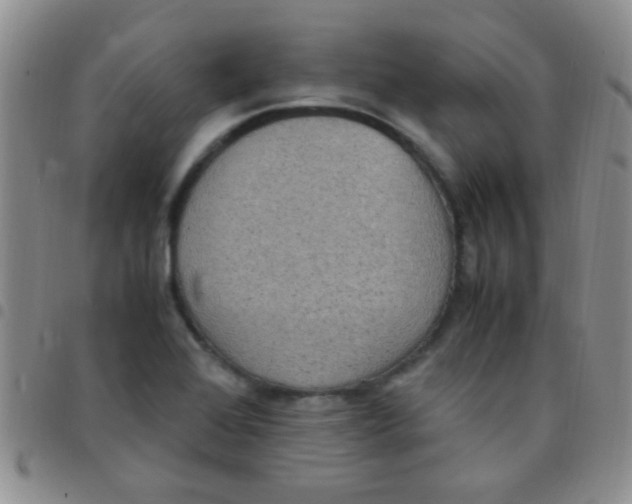 X0000097501368200803142010