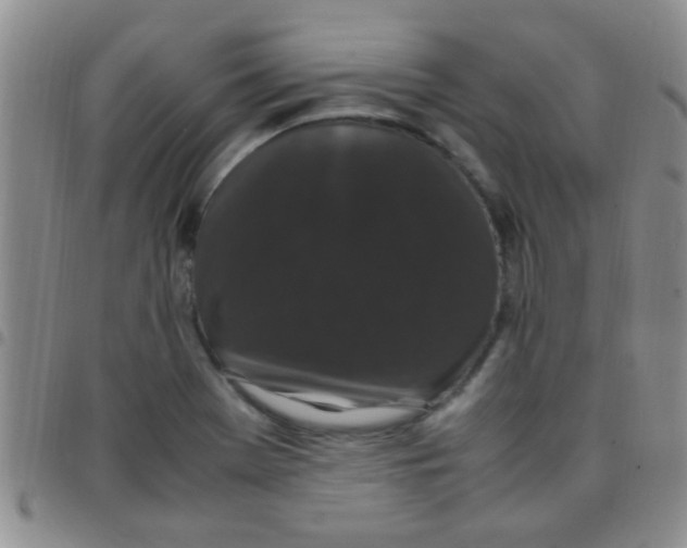 X0000097501369200803142010