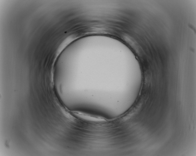 X0000097501370200803142010