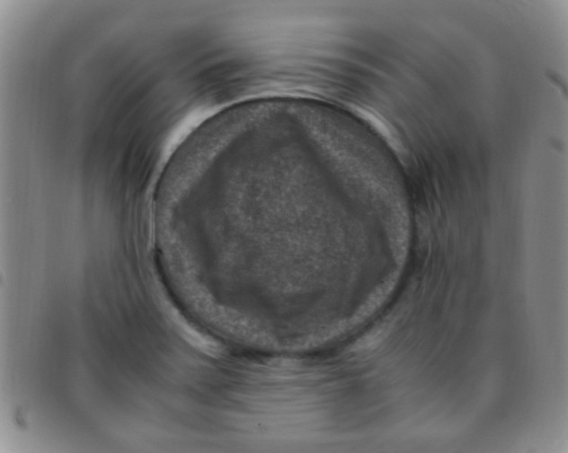 X0000097501371200803142010