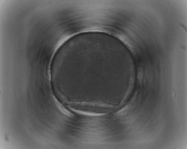 X0000097501372200803142010