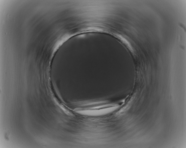 X0000097501373200803142010