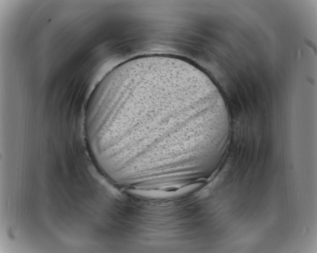 X0000097501374200803142010