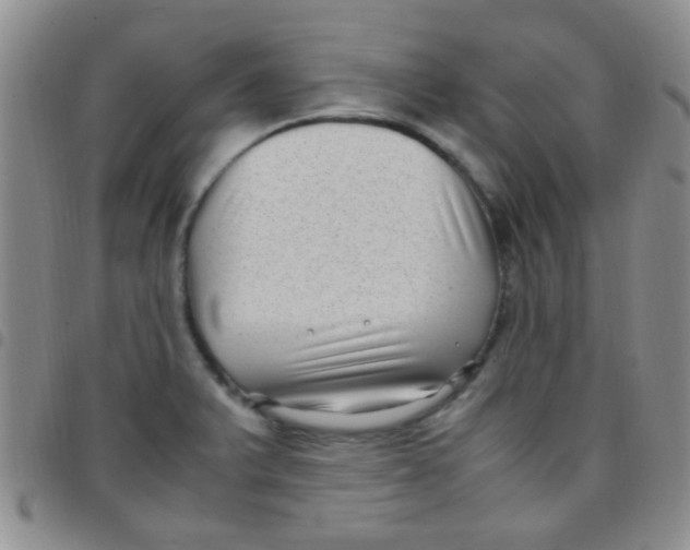 X0000097501375200803142010