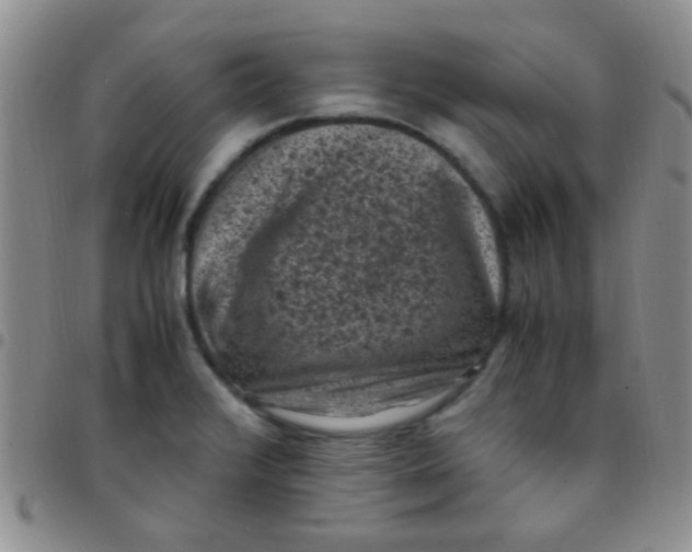 X0000097501376200803142010