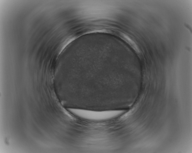 X0000097501377200803142010