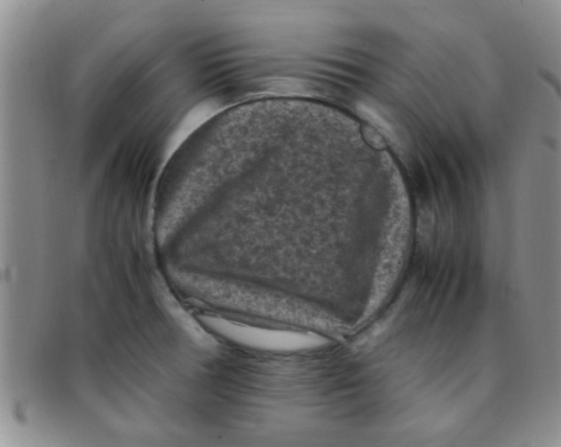 X0000097501378200803142010