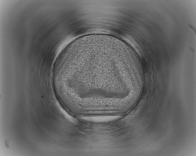 X0000097501379200803142010