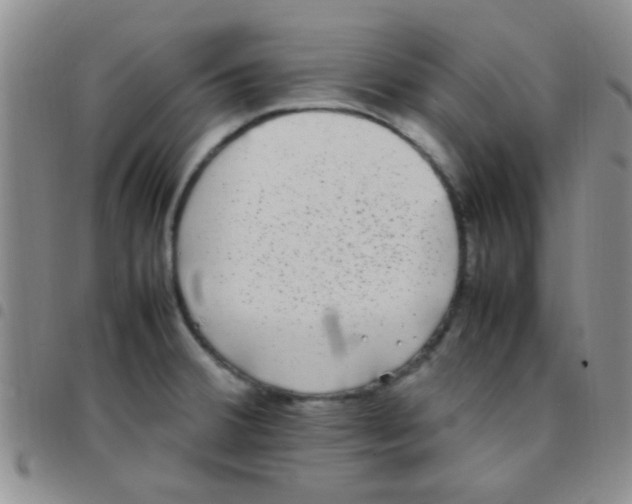 X0000097501380200803142010