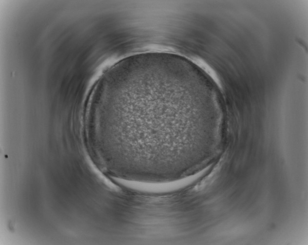 X0000097501381200803142010