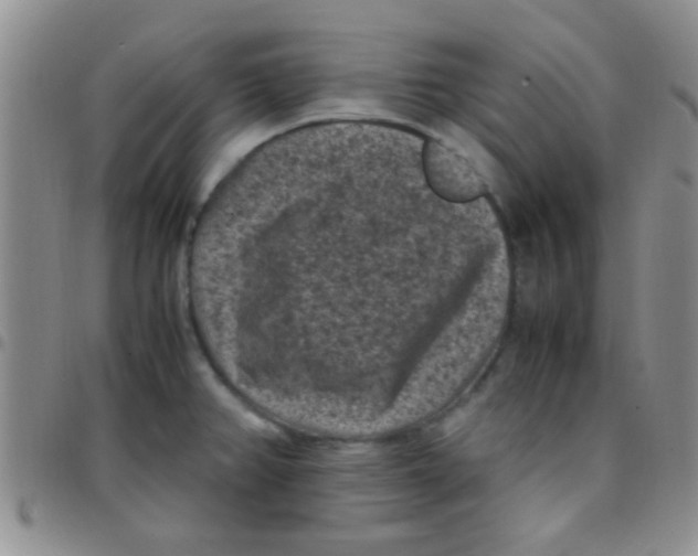 X0000097501382200803142010