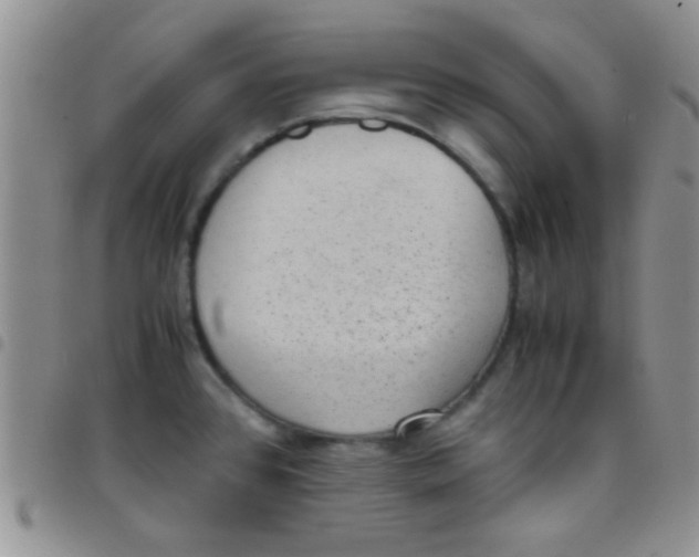 X0000097501384200803142010