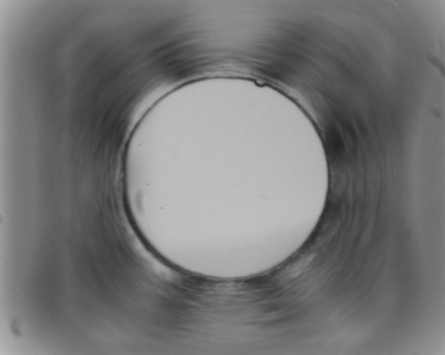 X0000097501387200803142010