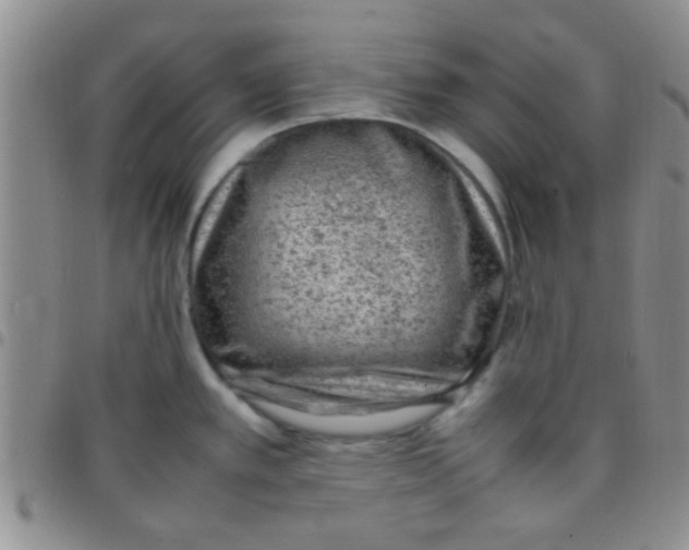 X0000097501389200803142010