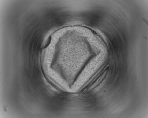 X0000097501390200803142010