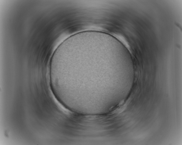 X0000097501391200803142010