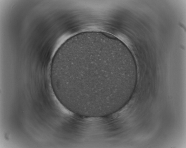 X0000097501392200803142010