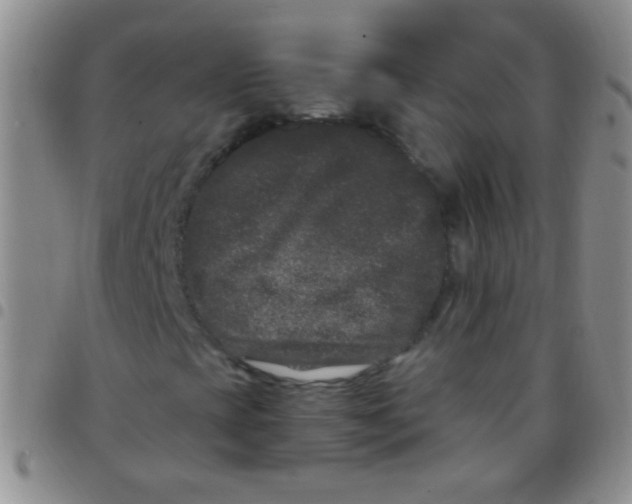 X0000097501393200803142009