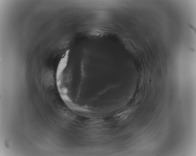 X0000097501394200803142009