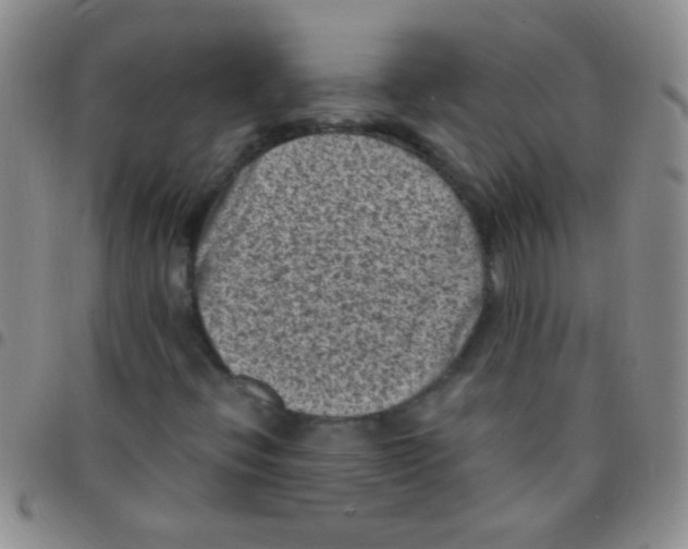 X0000097501396200803142009