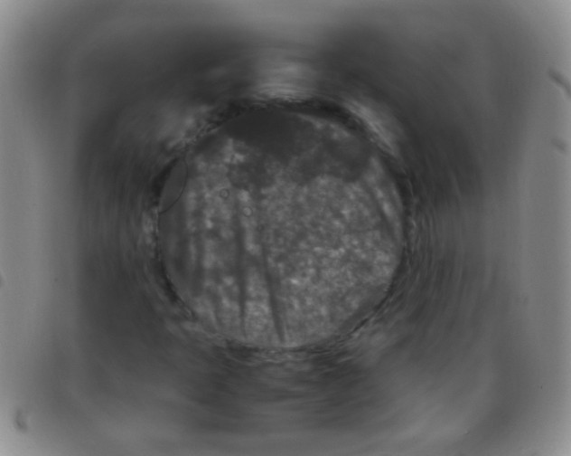 X0000097501397200803142009