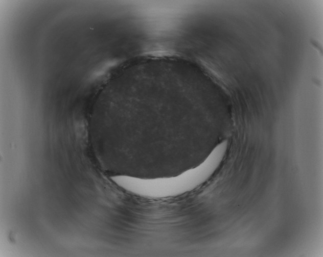 X0000097501398200803142009