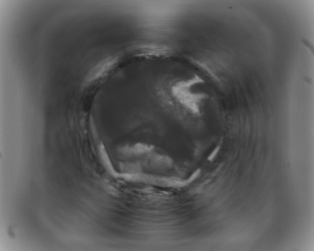 X0000097501399200803142009