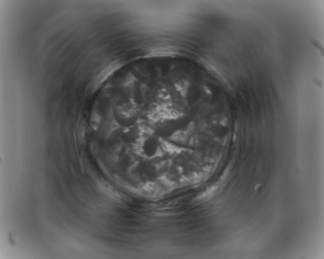 X0000097501401200803142009